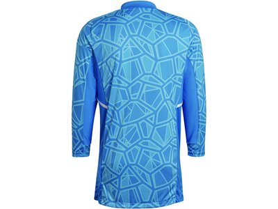 ADIDAS Herren Trikot CON22GK JSY L P Blau