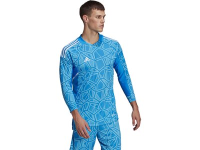 ADIDAS Herren Trikot CON22GK JSY L P Blau