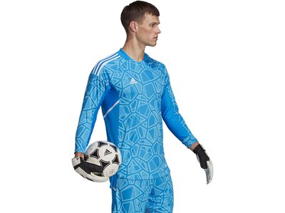 ADIDAS Herren Trikot CON22GK JSY L P Blau