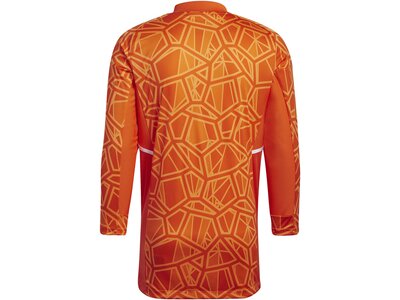 ADIDAS Herren Trikot CON22GK JSY L P Braun
