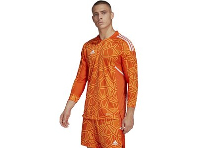 ADIDAS Herren Trikot CON22GK JSY L P Braun