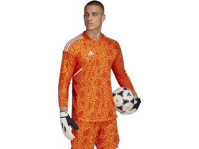 ADIDAS Herren Trikot CON22GK JSY L P Braun