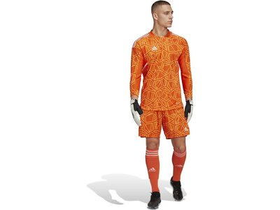 ADIDAS Herren Trikot CON22GK JSY L P Braun