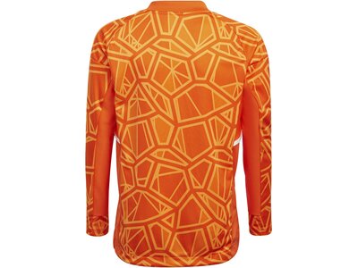 ADIDAS Kinder Trikot CON22GK JSY LYP Braun