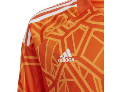 ADIDAS Kinder Trikot CON22GK JSY LYP Braun