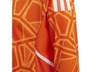 ADIDAS Kinder Trikot CON22GK JSY LYP Braun