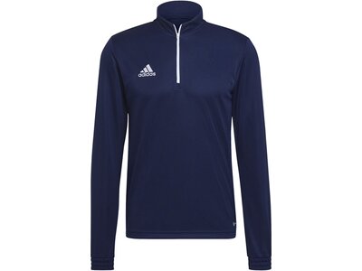 ADIDAS Herren Sweatshirt Entrada 22 Training (normal & lang) Blau