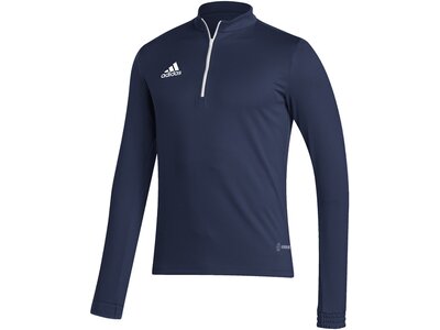 ADIDAS Herren Sweatshirt Entrada 22 Training (normal & lang) Blau