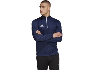 ADIDAS Herren Sweatshirt Entrada 22 Training (normal & lang) Blau