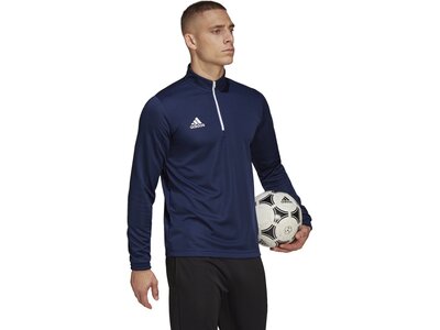 ADIDAS Herren Sweatshirt Entrada 22 Training (normal & lang) Blau