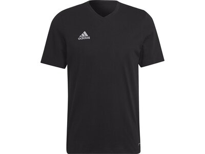 ADIDAS Herren Fanshirt ENT22 TEE Schwarz