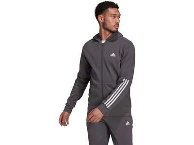 ADIDAS Herren Jacke MOTION FZ HOOD Grau