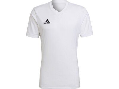 ADIDAS Herren Trikot Entrada 22 (normal & lang) Pink