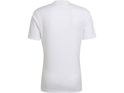 ADIDAS Herren Trikot Entrada 22 (normal & lang) Pink