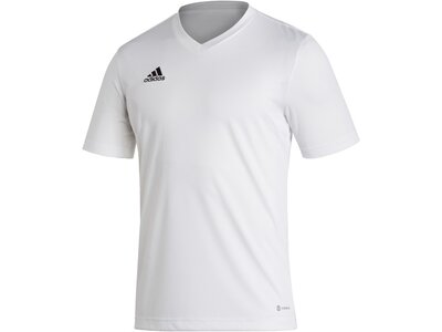 ADIDAS Herren Trikot Entrada 22 (normal & lang) Pink
