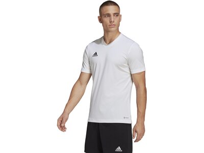 ADIDAS Herren Trikot Entrada 22 (normal & lang) Pink