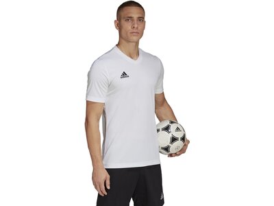 ADIDAS Herren Trikot Entrada 22 (normal & lang) Pink