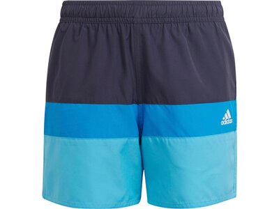 adidas Kinder Colorblock Badeshorts Grau