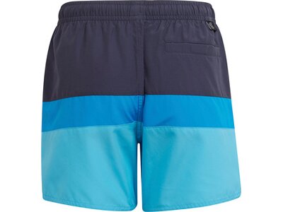 adidas Kinder Colorblock Badeshorts Grau