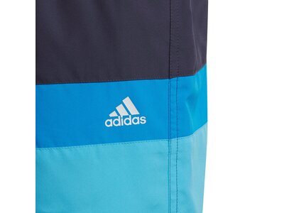 adidas Kinder Colorblock Badeshorts Grau