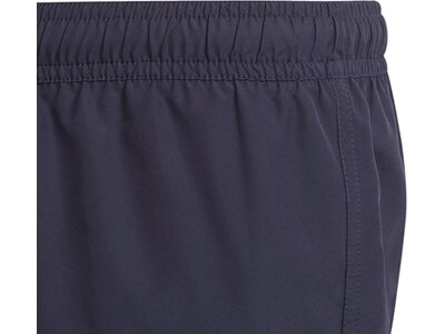 adidas Kinder Colorblock Badeshorts Grau