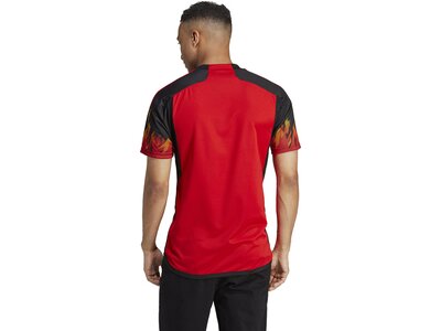 ADIDAS Herren Trikot RBFA H JSY Rot