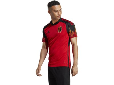 ADIDAS Herren Trikot RBFA H JSY Rot