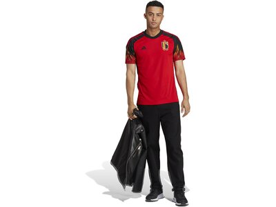 ADIDAS Herren Trikot RBFA H JSY Rot