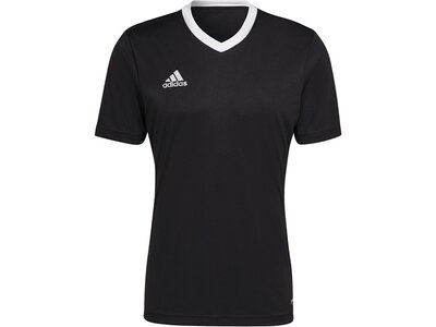 ADIDAS Herren Trikot Entrada 22 (normal & lang) Schwarz