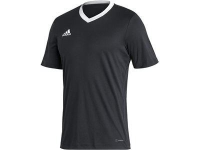 ADIDAS Herren Trikot Entrada 22 (normal & lang) Schwarz