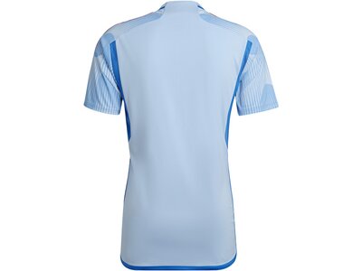 ADIDAS Herren Trikot FEF A JSY Blau