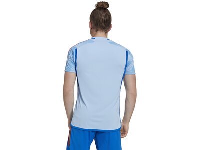 ADIDAS Herren Trikot FEF A JSY Blau