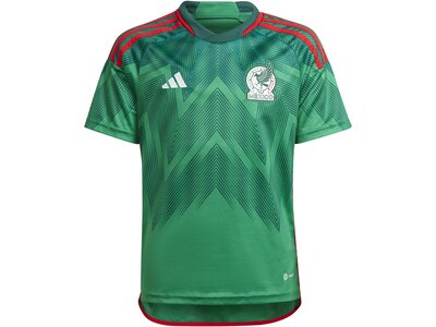 ADIDAS Kinder Trikot FMF H JSY Y Grün