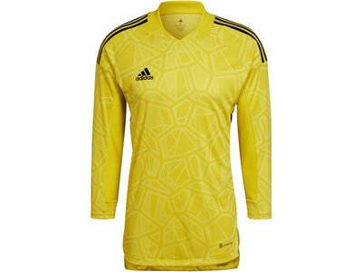 ADIDAS Herren Trikot CON22GK JSY L P Gelb