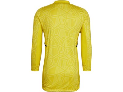 ADIDAS Herren Trikot CON22GK JSY L P Gelb