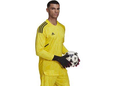 ADIDAS Herren Trikot CON22GK JSY L P Gelb