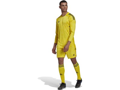 ADIDAS Herren Trikot CON22GK JSY L P Gelb