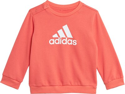 adidas Kinder Badge of Sport French Terry Jogginghose Braun