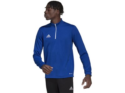 ADIDAS Herren Sweatshirt Entrada 22 Training (normal & lang) Blau