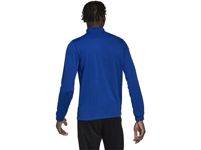 ADIDAS Herren Sweatshirt Entrada 22 Training (normal & lang) Blau