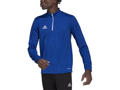 ADIDAS Herren Sweatshirt Entrada 22 Training (normal & lang) Blau