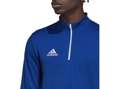 ADIDAS Herren Sweatshirt Entrada 22 Training (normal & lang) Blau