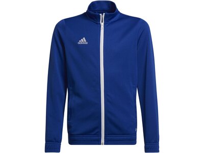 ADIDAS Kinder Jacke Entrada 22 Blau