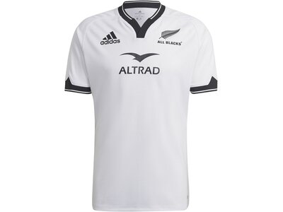 ADIDAS Damen Fantrikot AB A JSY Grau