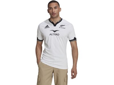 ADIDAS Damen Fantrikot AB A JSY Grau