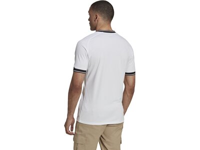 ADIDAS Damen Fantrikot AB A JSY Grau