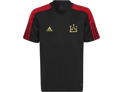 ADIDAS Kinder Trikot SALAH TR JSY Y Schwarz