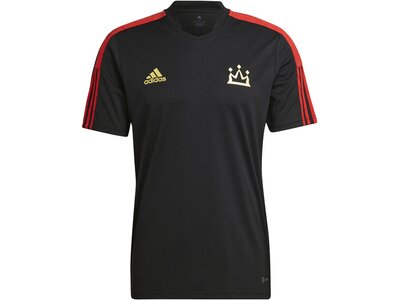 ADIDAS Herren Trikot SALAH TR JSY Schwarz