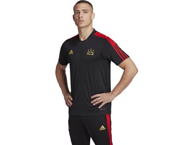 ADIDAS Herren Trikot SALAH TR JSY Schwarz