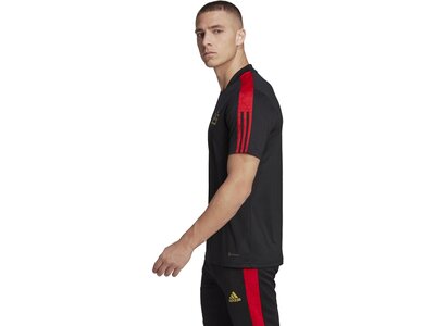 ADIDAS Herren Trikot SALAH TR JSY Schwarz